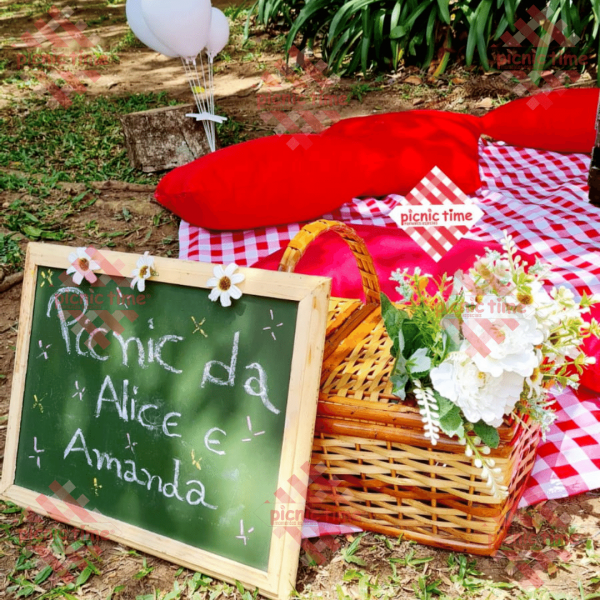 picnic vermelho