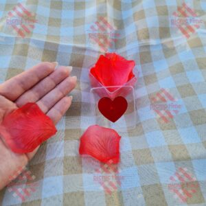 Caixinha de pétalas